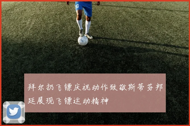 拜尔扔飞镖庆祝动作致敬斯蒂芬邦廷展现飞镖运动精神